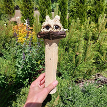 Load image into Gallery viewer, Funny Long Neck Hidden Chicken/Ostrich For Garden Decor