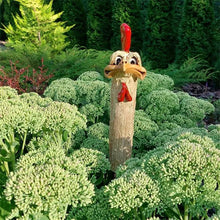 Load image into Gallery viewer, Funny Long Neck Hidden Chicken/Ostrich For Garden Decor