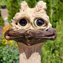 Load image into Gallery viewer, Funny Long Neck Hidden Chicken/Ostrich For Garden Decor