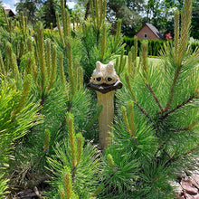 Load image into Gallery viewer, Funny Long Neck Hidden Chicken/Ostrich For Garden Decor