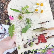 Load image into Gallery viewer, Flower + Leaf Collector Boards