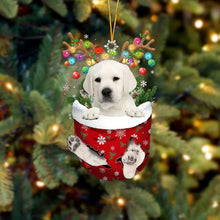 Load image into Gallery viewer, Cute Christmas Sock Dog Ornament