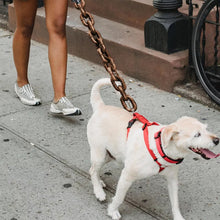 Load image into Gallery viewer, Funny Dog Leash