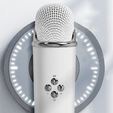 Load image into Gallery viewer, Mini Karaoke Machine With Wireless Microphone