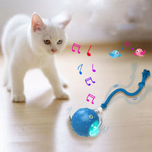 Load image into Gallery viewer, Interactive Pet Toy Ball