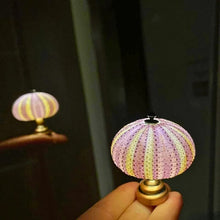 Load image into Gallery viewer, DIY Sea Urchin Night Light