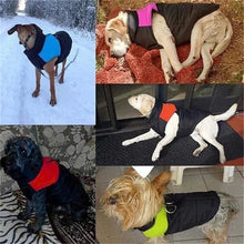 Load image into Gallery viewer, Dog Winter Warm Clothes Zipper Dog Vest