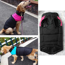Load image into Gallery viewer, Dog Winter Warm Clothes Zipper Dog Vest
