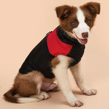 Load image into Gallery viewer, Dog Winter Warm Clothes Zipper Dog Vest