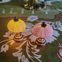 Load image into Gallery viewer, DIY Sea Urchin Night Light