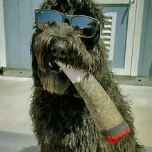 Load image into Gallery viewer, Cigar Design Funny Dog Toys