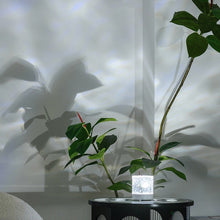 Load image into Gallery viewer, Aurora Glow Lamp