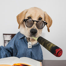 Load image into Gallery viewer, Cigar Design Funny Dog Toys
