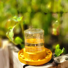 Load image into Gallery viewer, Bee Feeder For Regular Mouth Mason Jar