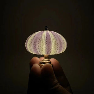 DIY Sea Urchin Night Light