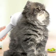 Load image into Gallery viewer, Spray Groomer Comb (with 20 ml serum)