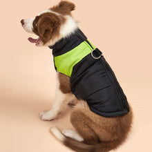 Load image into Gallery viewer, Dog Winter Warm Clothes Zipper Dog Vest