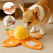 Load image into Gallery viewer, Orange Hide-and-Seek Plush Dog Toy