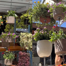 Load image into Gallery viewer, Planter Hook Connector
