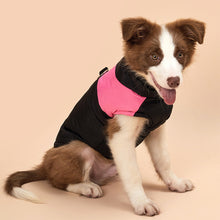 Load image into Gallery viewer, Dog Winter Warm Clothes Zipper Dog Vest