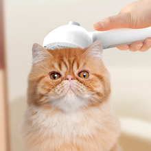 Load image into Gallery viewer, Spray Groomer Comb (with 20 ml serum)