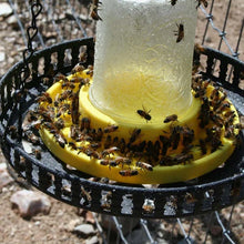 Load image into Gallery viewer, Bee Feeder For Regular Mouth Mason Jar