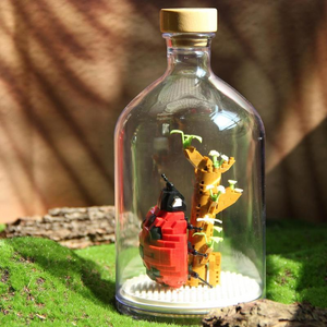 Insect Collection Building Blocks with Glass Display Bottle
