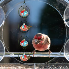Load image into Gallery viewer, Charming Wind Chimes Hummingbird feeders