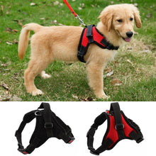Load image into Gallery viewer, No-Pull dog harness, adjustable harness for medium and large dogs