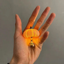 Load image into Gallery viewer, DIY Sea Urchin Night Light