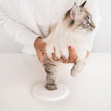 Load image into Gallery viewer, Clay Pet Paw Impression Moulding Kit