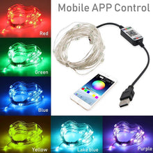 Load image into Gallery viewer, LED String Lights