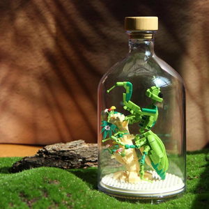 Insect Collection Building Blocks with Glass Display Bottle
