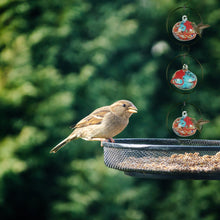 Load image into Gallery viewer, Charming Wind Chimes Hummingbird feeders