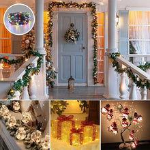 Load image into Gallery viewer, LED Waterproof Fairy String Lights with Remote
