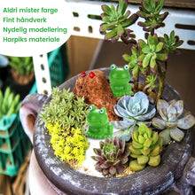 Load image into Gallery viewer, 🐸Liten frosk | Utfordrende gjemmefrosk