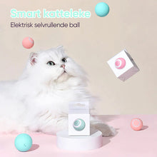 Load image into Gallery viewer, 【STORT SALG】Smart Cat Interaktive Ballleker