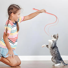 Load image into Gallery viewer, Silicone Simulate Tail Cat Wand