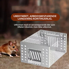Load image into Gallery viewer, Automatisk musefelle i rustfritt stål