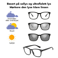 Load image into Gallery viewer, Mote lette briller