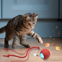 Load image into Gallery viewer, Interactive Pet Toy Ball