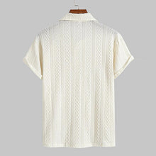 Load image into Gallery viewer, Regular Fit Plain Textured Polo Shirt