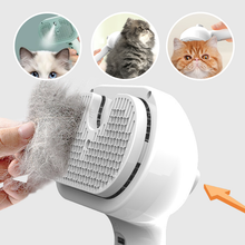 Load image into Gallery viewer, Spray Groomer Comb (with 20 ml serum)