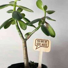 Load image into Gallery viewer, Wood Plant Stakes