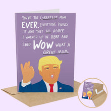 Load image into Gallery viewer, Funny Greeting Cards