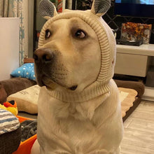 Load image into Gallery viewer, Dog Ear Muffs Noise-Protection Knitted Hat