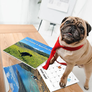 Pre-Sale>>2024 Dogs Pooping in Beautiful Places Calendar