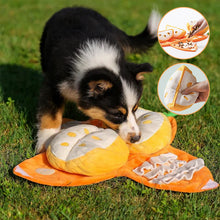 Load image into Gallery viewer, Orange Hide-and-Seek Plush Dog Toy