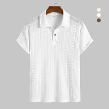 Load image into Gallery viewer, Regular Fit Plain Textured Polo Shirt