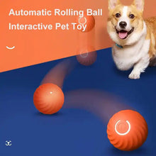 Load image into Gallery viewer, Automatic smart teasing dog ball that can't be bitten